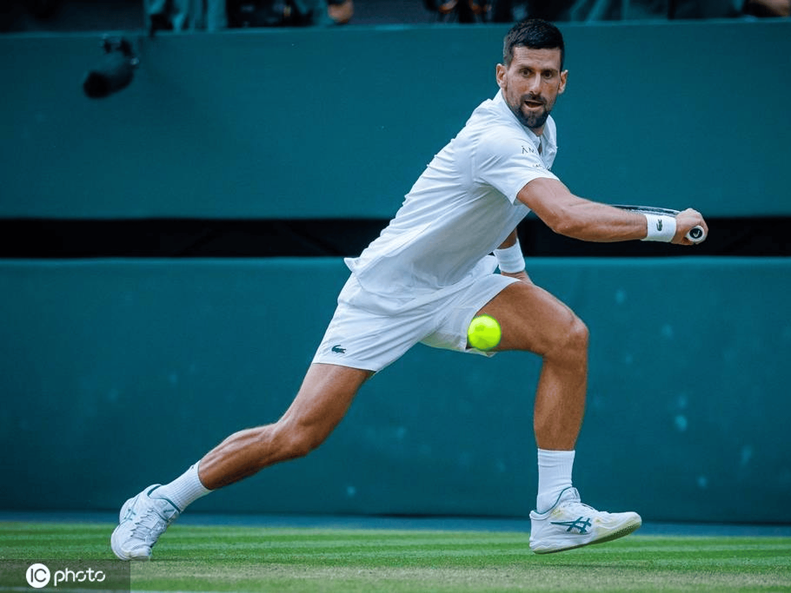 ATP总决赛险胜联合杯，德约科维奇统治全场