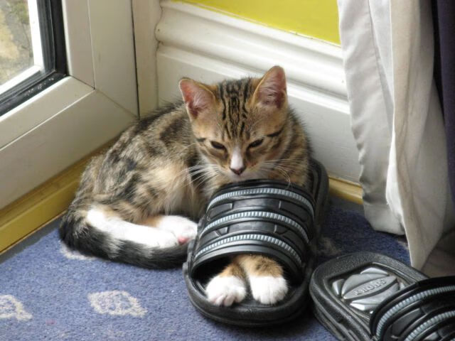 阿圭罗终场爆裂一击,比利亚雷亚尔慈善夜,提前终结的不只是丹麦人的悬念