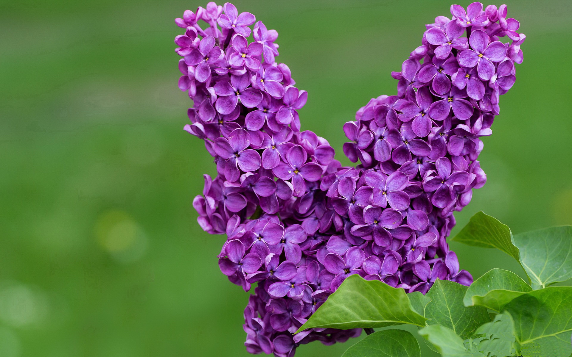 暗夜裂变,迪巴拉在毕尔巴鄂末节接管世界的战争
