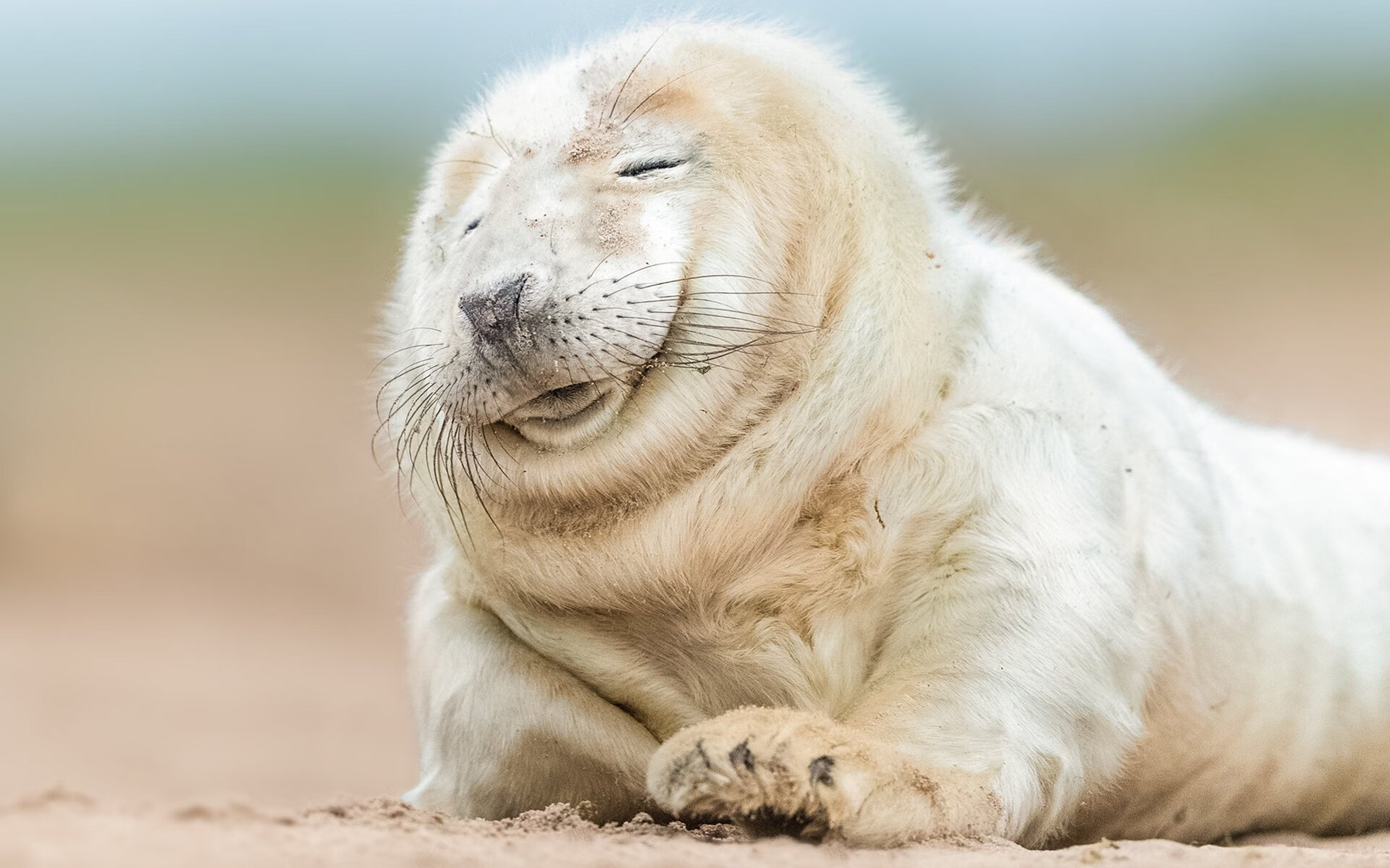 友谊赛制造意外经典,德里赫特用教科书表演,定义了现代中卫的模版