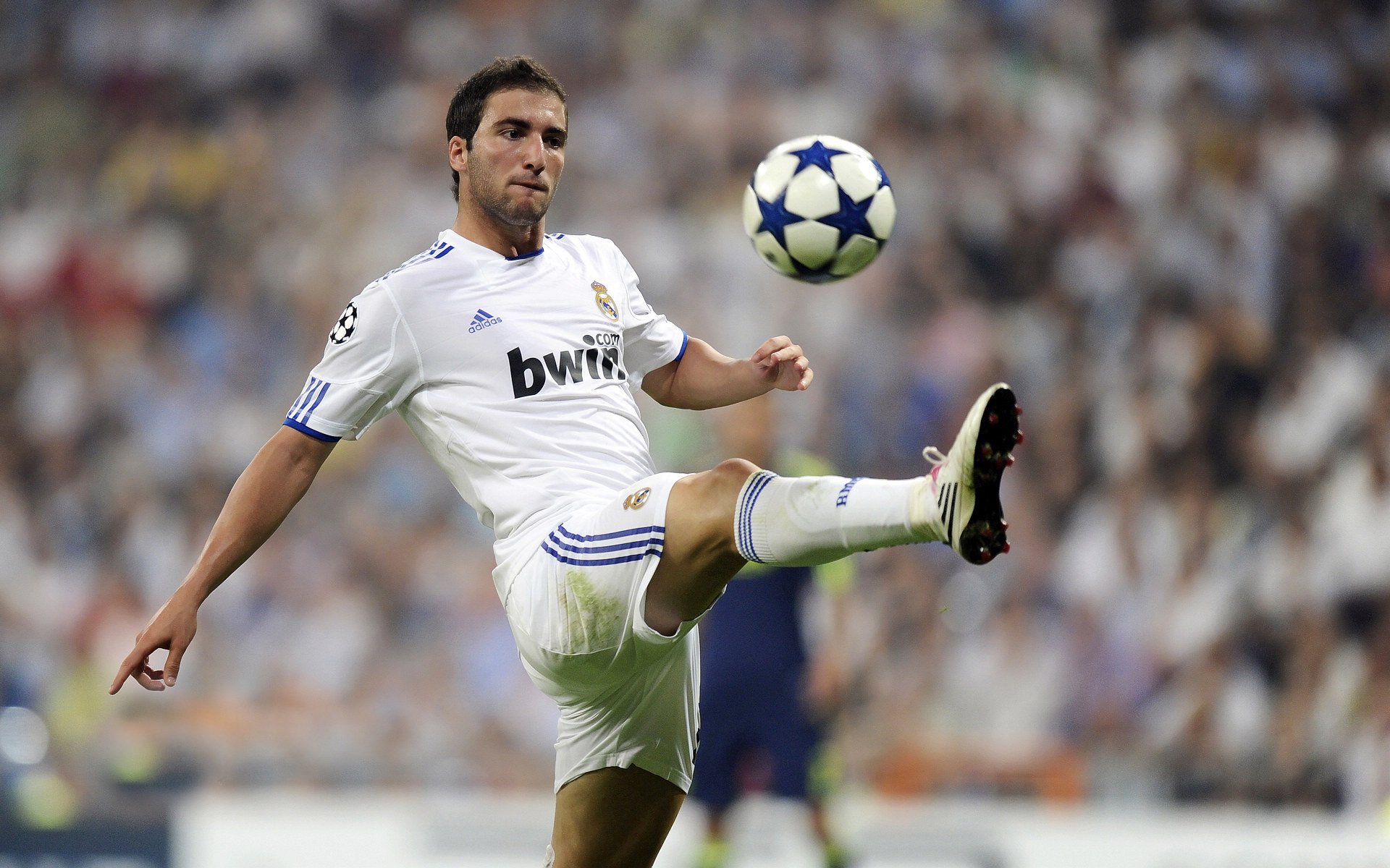 足球与赛车的交响,埃及决胜摩洛哥,苏亚雷斯F1争冠接管战