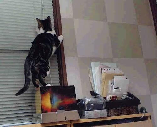 唯一性之夜,哈利伯顿与那道撕裂时间的三分弧线