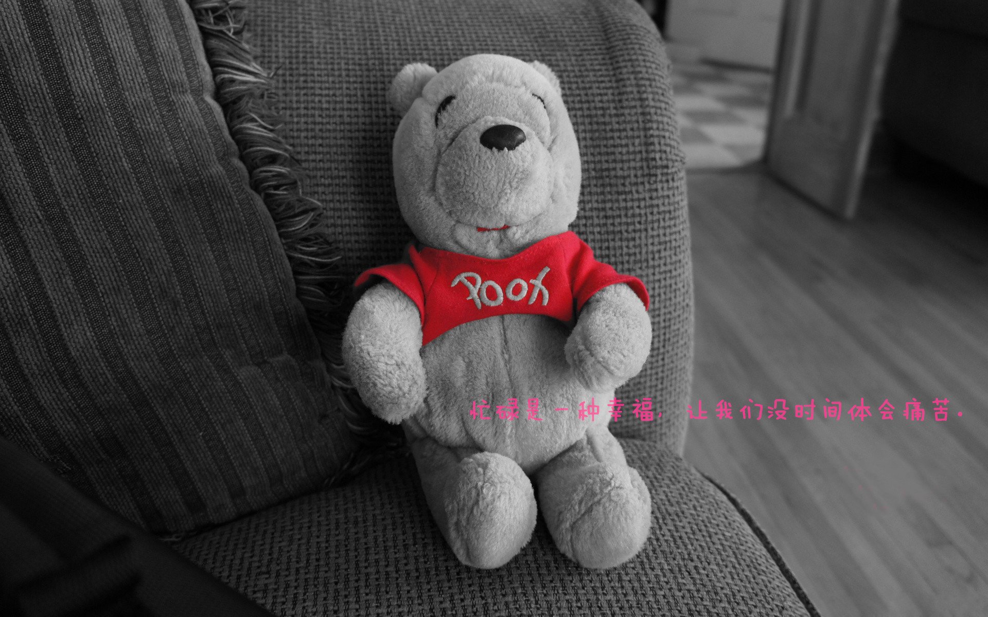 双线传奇，广厦队斩落活塞迎连胜，保罗F1争冠赛道上演逆转接管