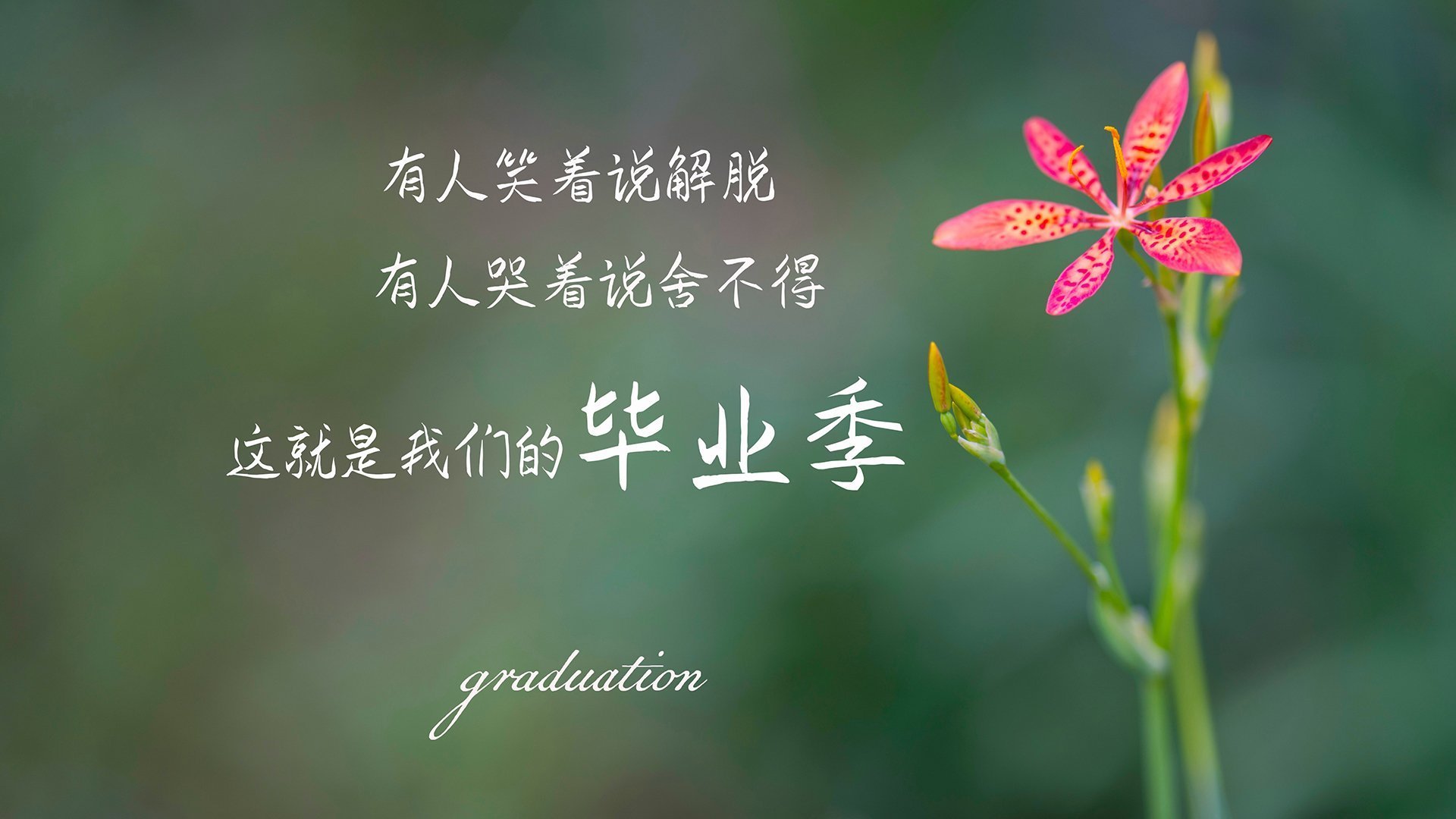 稳定—李刚仁和他的基准线