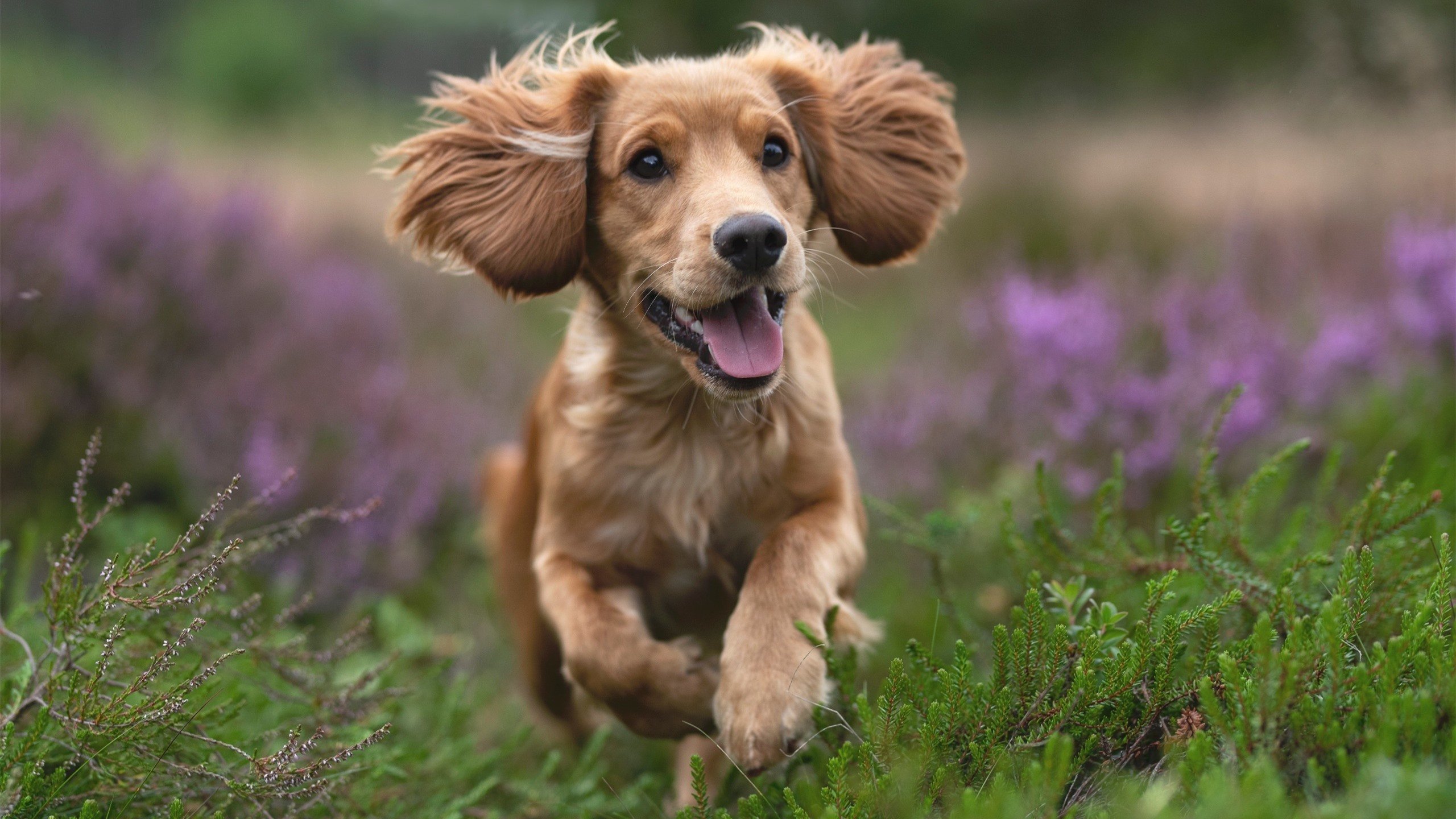 时光倒流的奇迹，恩比德血泪觉醒，跨越时空的东决接管