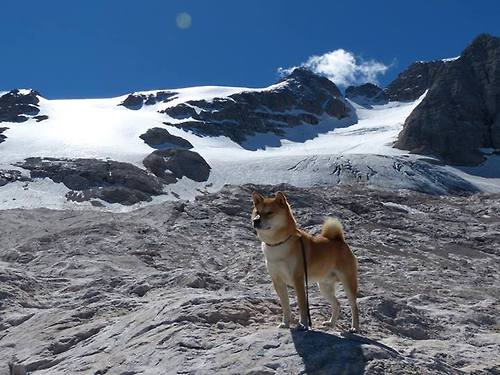 时光倒流的奇迹，恩比德血泪觉醒，跨越时空的东决接管