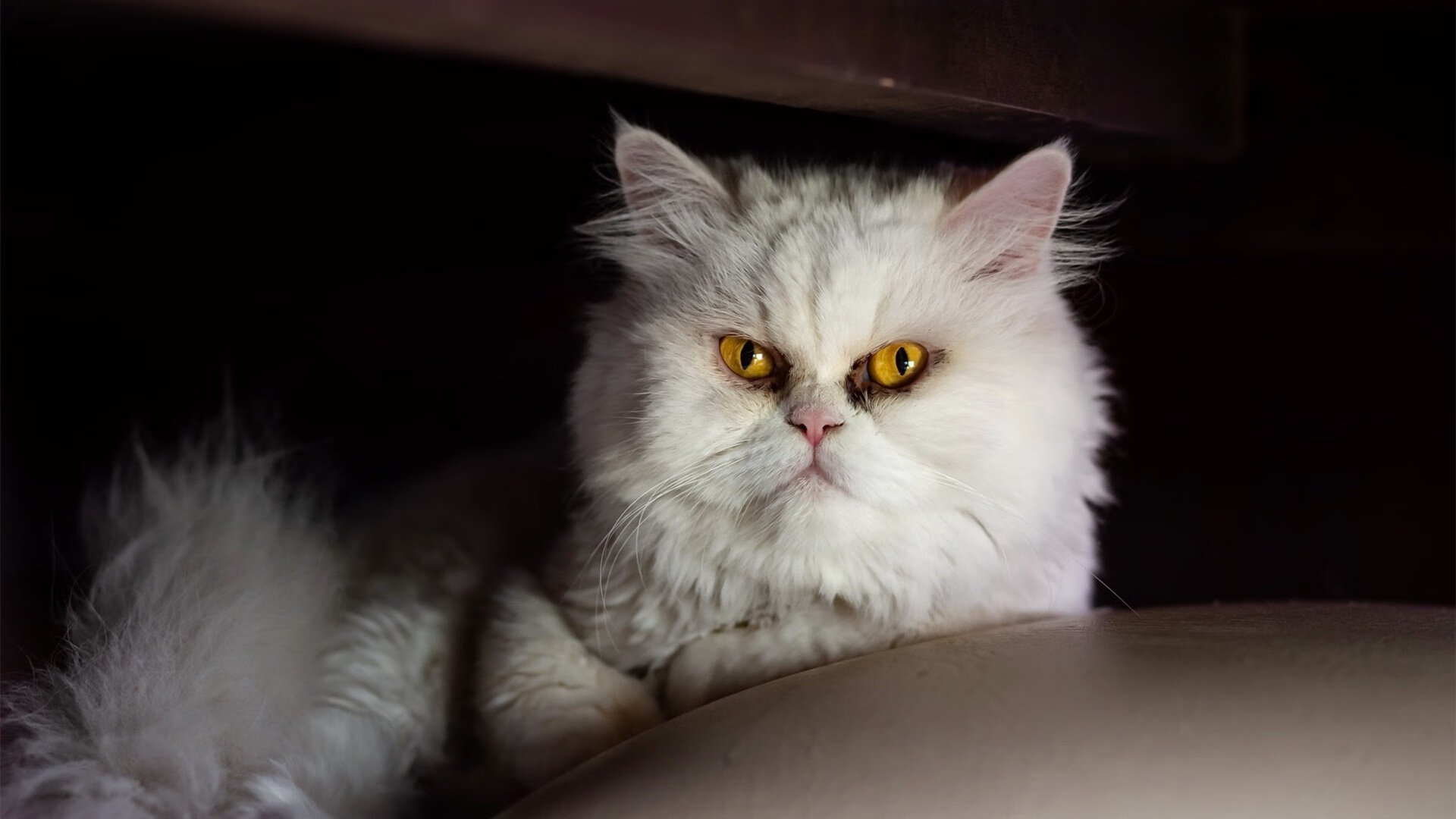 误入敌阵的救世主,当内马尔身披对手战袍改写命运