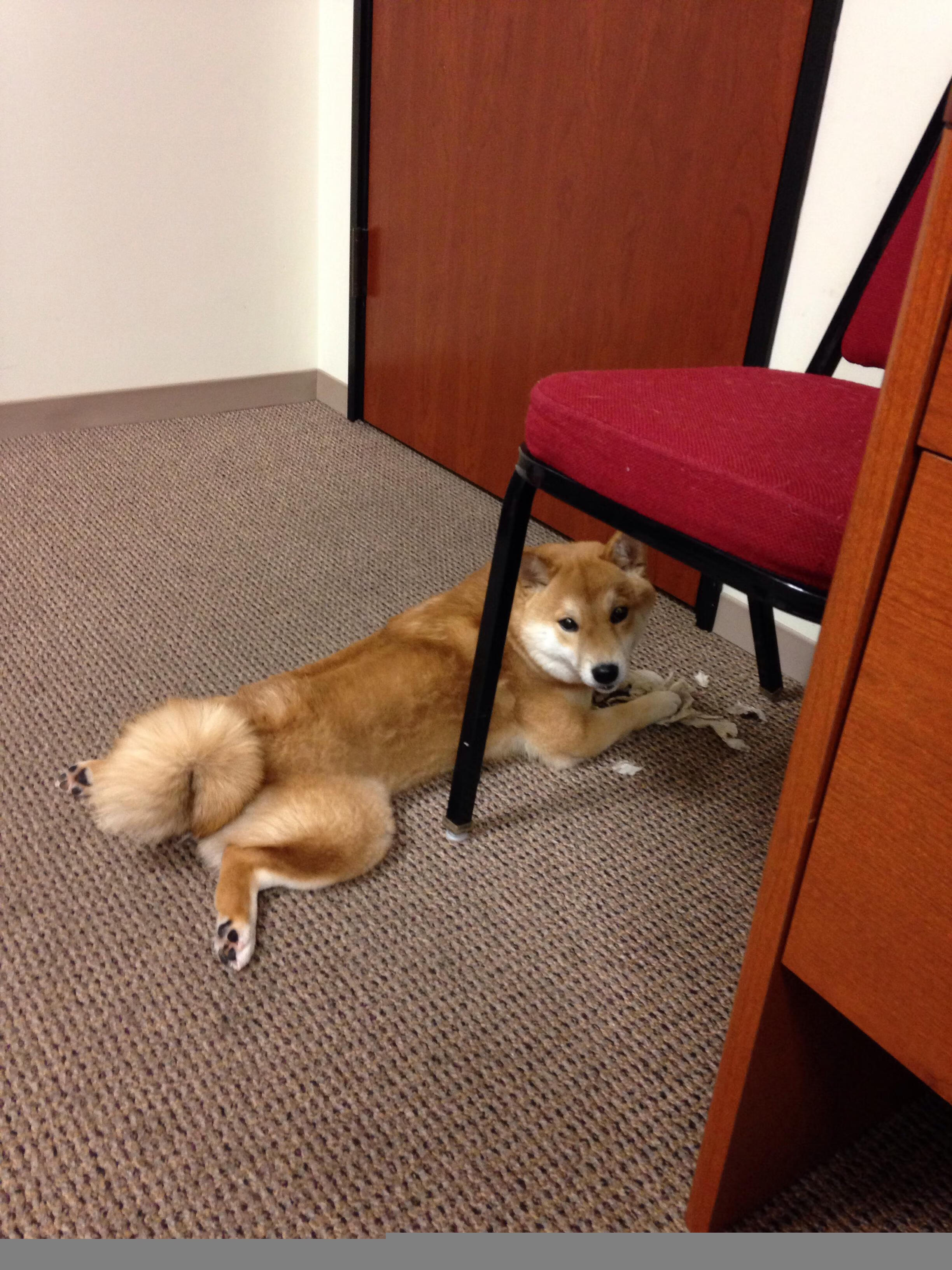 当字母消失,东契奇在广厦与勇士的裂缝中创造自己的篮球法则