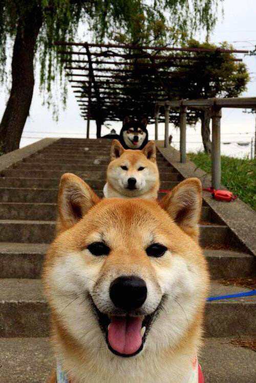 跨界传奇,NBA总决赛之夜的格纳布里时刻