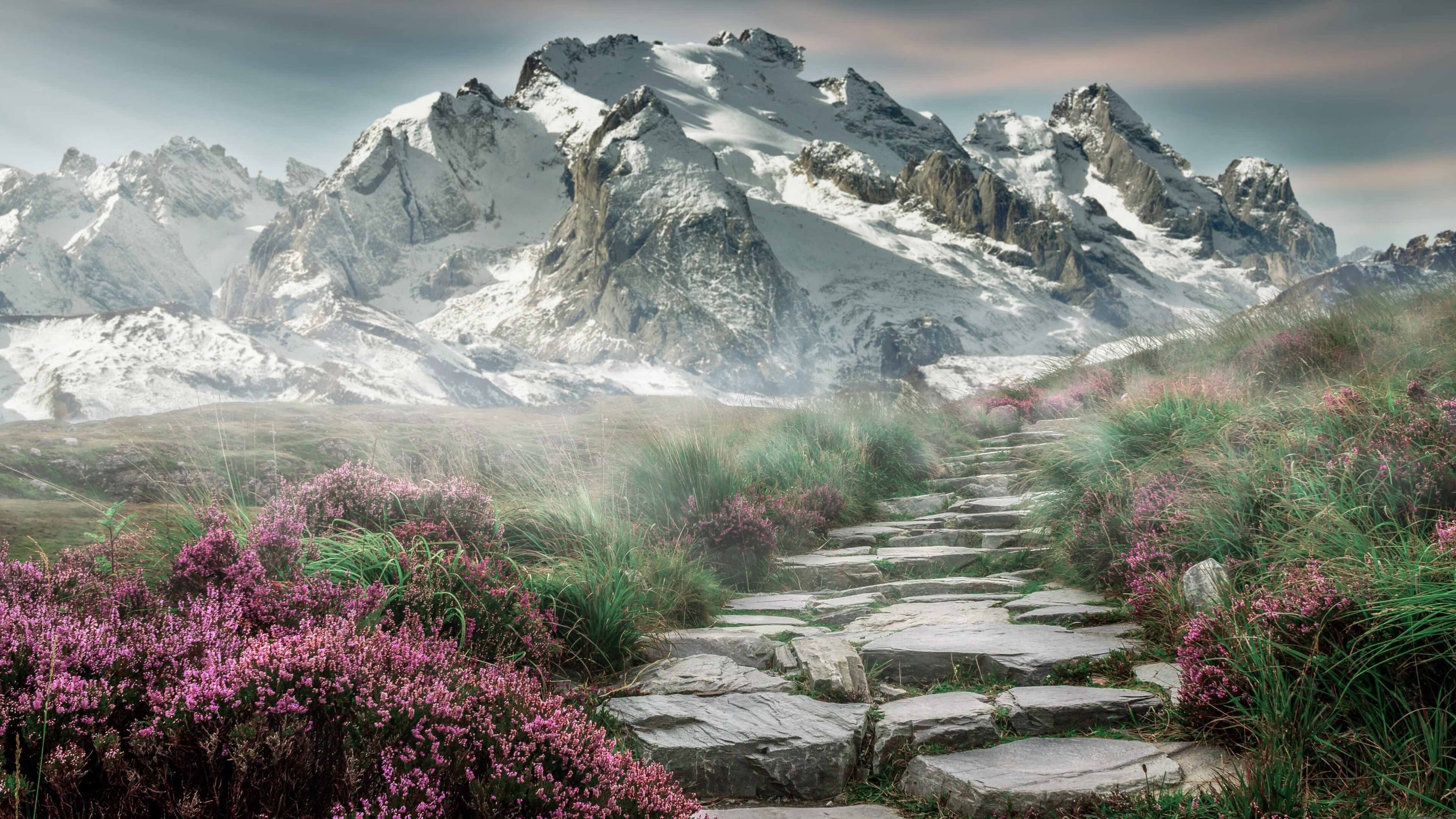 虚构之战，当广厦在NBA总决赛淘汰勇士—现实与想象的激烈碰撞