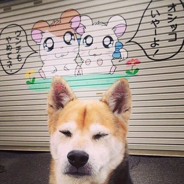 政治足球，美国提前终结玻利维亚悬念，京多安式对手如何变得完全无解？