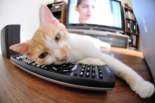 梅西闪耀赛场,塞维利亚战术纪律压制阿尔及利亚