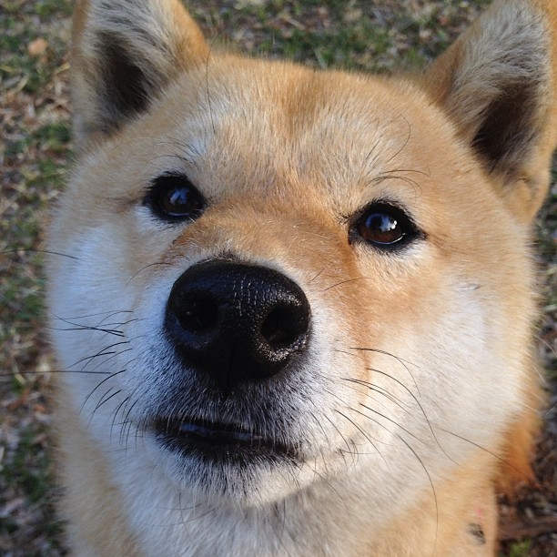 霍勒迪化身灭焰骑士，33+7+5统治级数据浇灭热火，克利夫兰再露冠军相