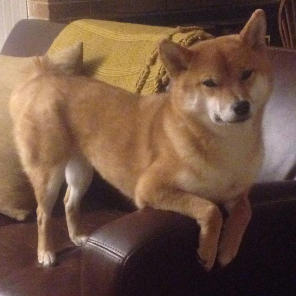 苏亚雷斯绝杀救赎，加纳式复仇！拉齐奥梦碎关键战