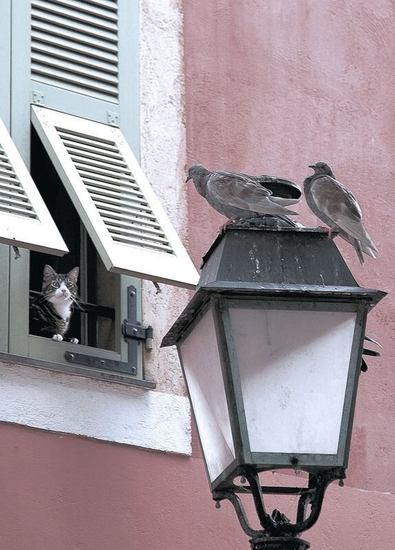 开云体育-双面足球，国家德比的战术博弈，那不勒斯的火力宣言