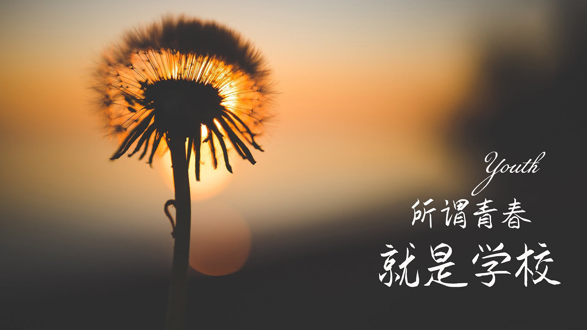 撕裂次元壁,当广厦狂潮席卷魔术主场,字母哥在摩纳哥弯道完成致命超车