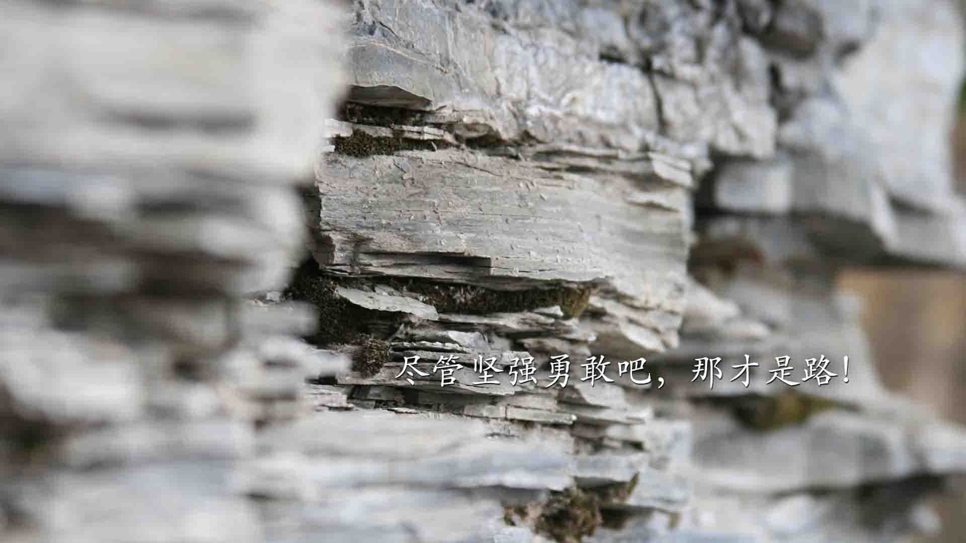 加时鏖战,压制级莫兰特令火箭升空梦碎,孤星闪耀与体系困局的无声对话