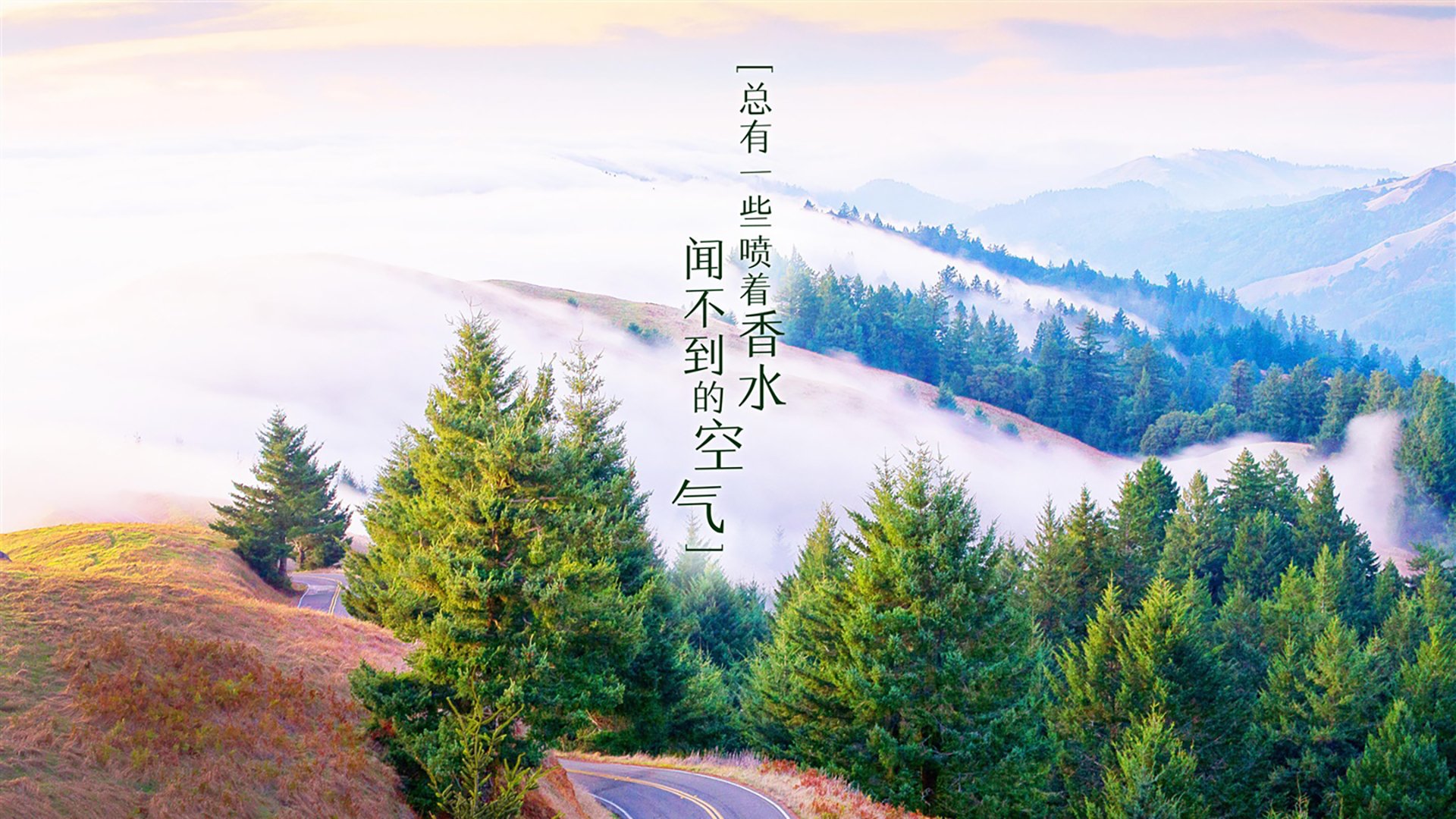 节奏的密码，从突尼斯险胜到哈兰德统治—世界杯关键积分战中的掌控之道