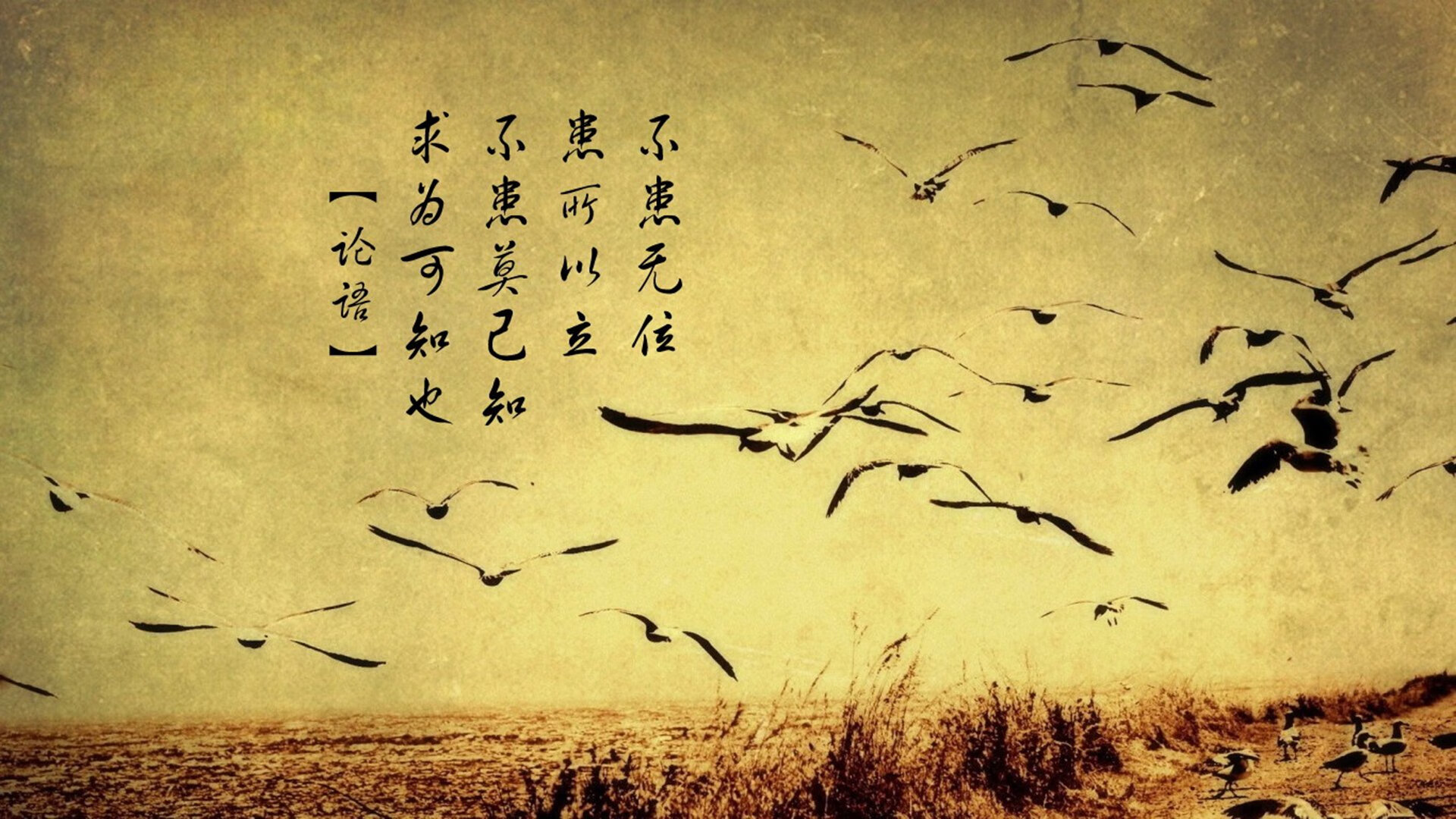 北欧风暴席卷沙漠绿洲,瑞典绞杀式战术如何让哈基米的独角戏沦为B组最惨痛的失利