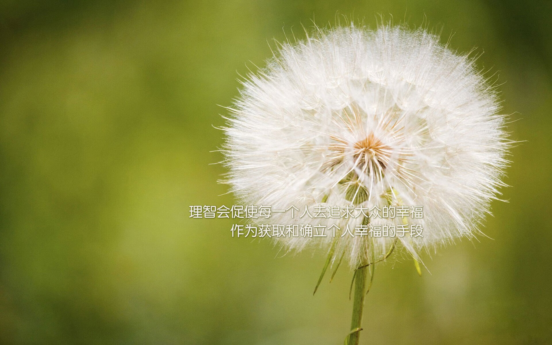 伦敦奇迹夜，泰国绝杀智利，萨卡独木难支，D组死亡之局颠覆全球预测